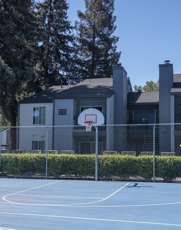 Pheasant Pointe apartments outdoor basketball court
