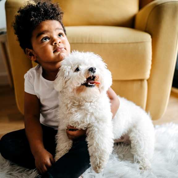 little boy and pet at home at Capriana at Chino Hills, Chino Hills, CA
