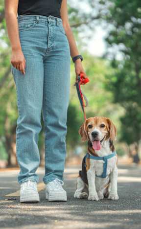 Pet friendly at Cedarwood Estates Apartments, Ohio, 44094
