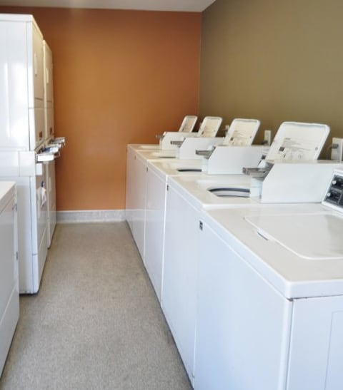 Laundry Room at Peppertree