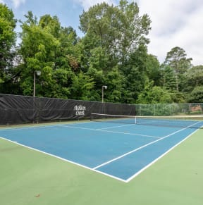 a tennis court with a fence and trees in the background