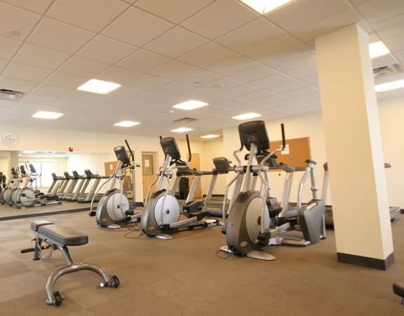 a row of treadmills in a gym with a large amount of windows and other gym equipment