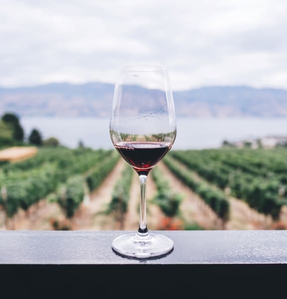 Wine Glass and View of Vineyard