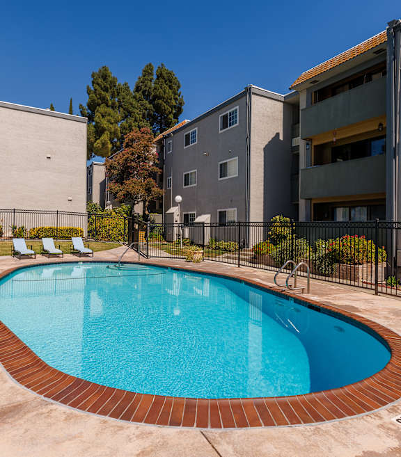 A pool surrounded by chairs and an umbrella in a backyard.