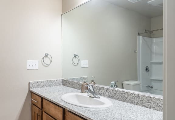 a bathroom with a sink with Granite counters and a mirror and a shower at Oleanders at Broadway