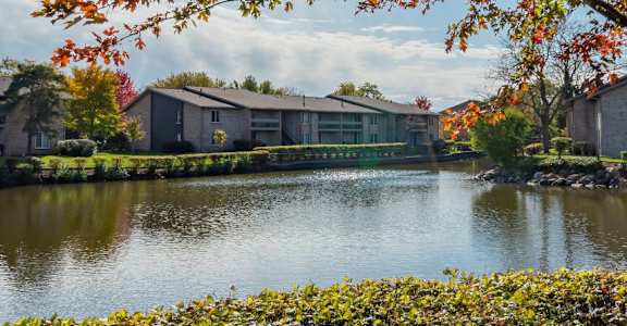 A tree with autumn leaves stands in front of a body of water and buildings.