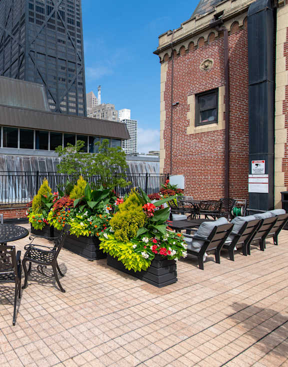 A patio with a table and chairs surrounded by plants.