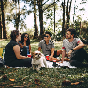 friends enjoying a picnic at the park at Woodland Crossing , Woodland, CA 95695