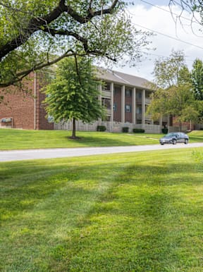 Wilshire Estate, a well-maintained green lawn with a tree on the left and an apartment building in the background.