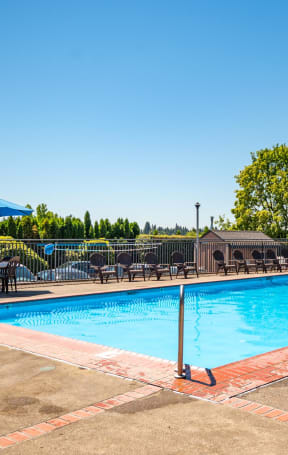 a swimming pool with chairs around it and trees in the background