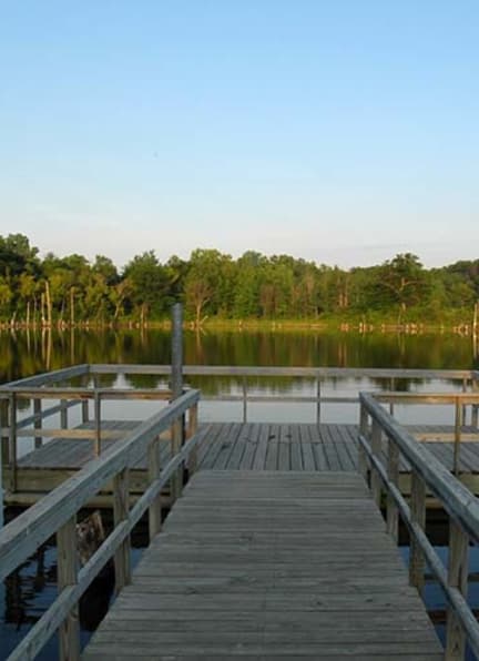 a dock on a lake with trees in the background