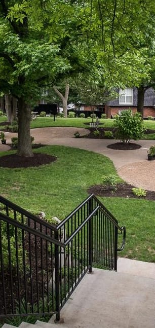 a view of a park with trees and benches