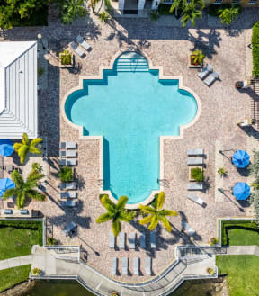 an aerial view of a resort style pool with chaise lounge chairs and palm trees