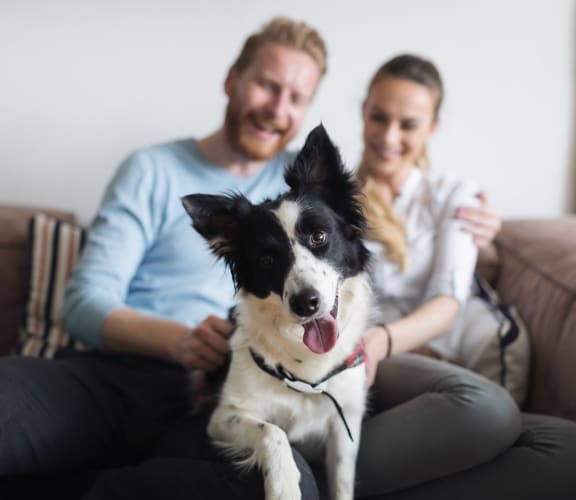 Couple Sitting on Couch with Dog In between