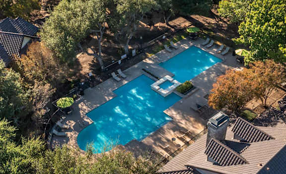 A swimming pool surrounded by trees and houses.