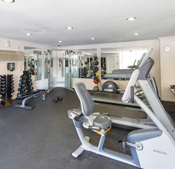 Modern gym1 at Tuscarora Creek, Leesburg, VA, 20175
