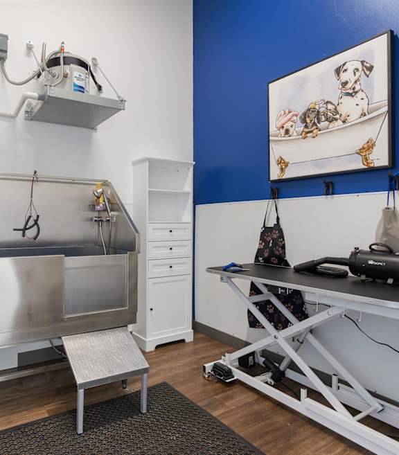 a kitchen with a sink and a view of a living room at City View St. George Apartments, Utah, 84770