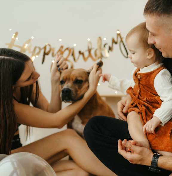Family With A Dog at Park 146, Aurora