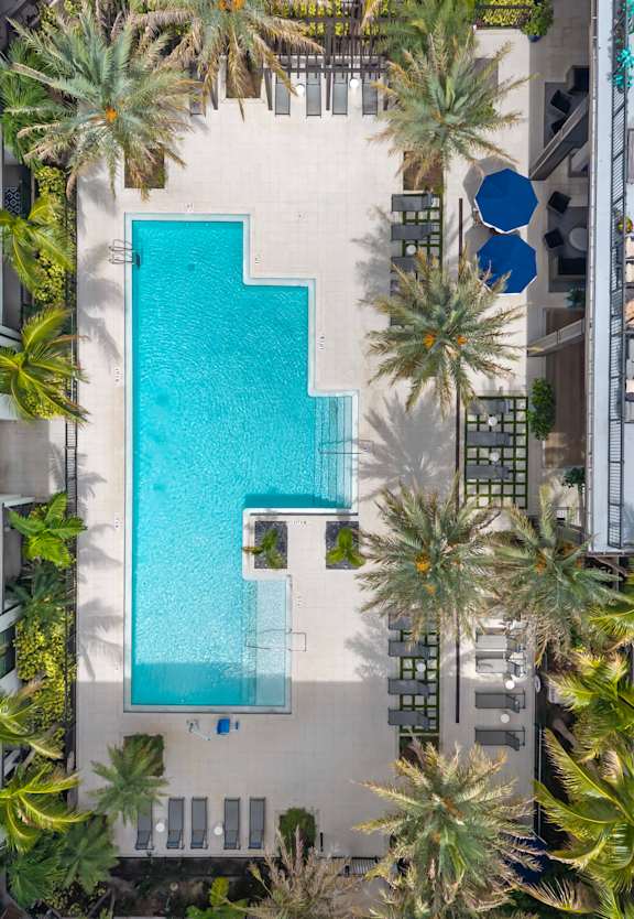 an aerial view of a pool with palm trees at The District at Rosemary, Florida, 34236