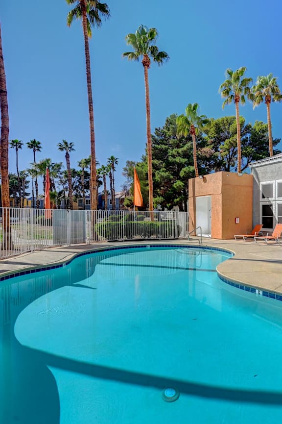 Swimming pool and spa