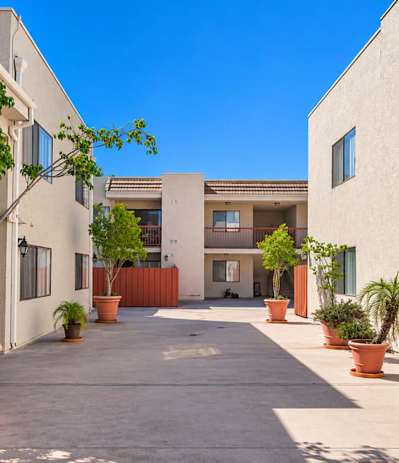 A courtyard with potted plants and a building in the background.