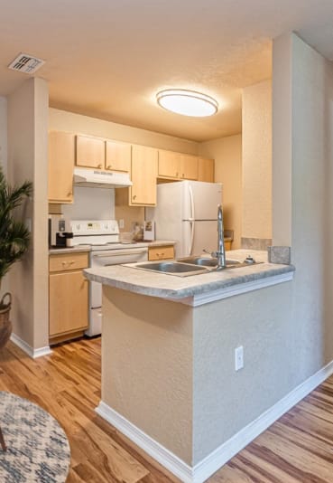 Dominium-Enclave at Pine Oaks-Kitchen