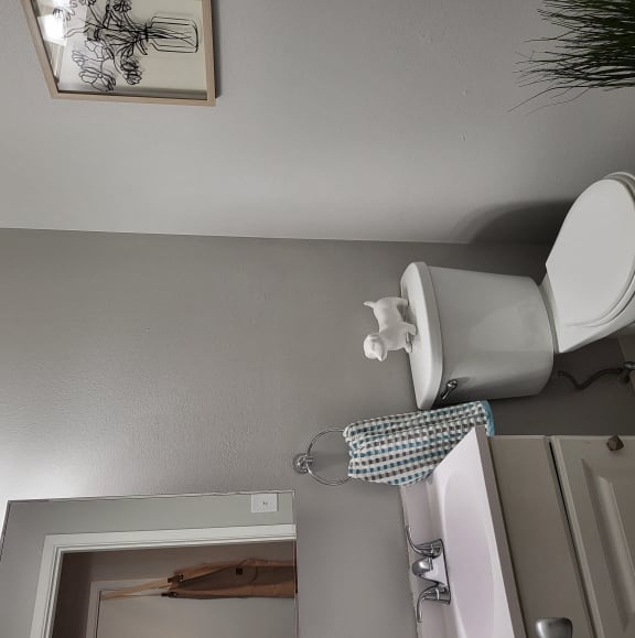 a small bathroom with a sink and a toilet and a cabinet
