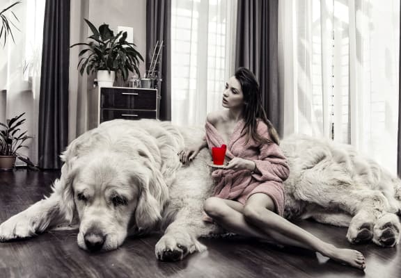 a woman sitting on a dog with a cup of tea