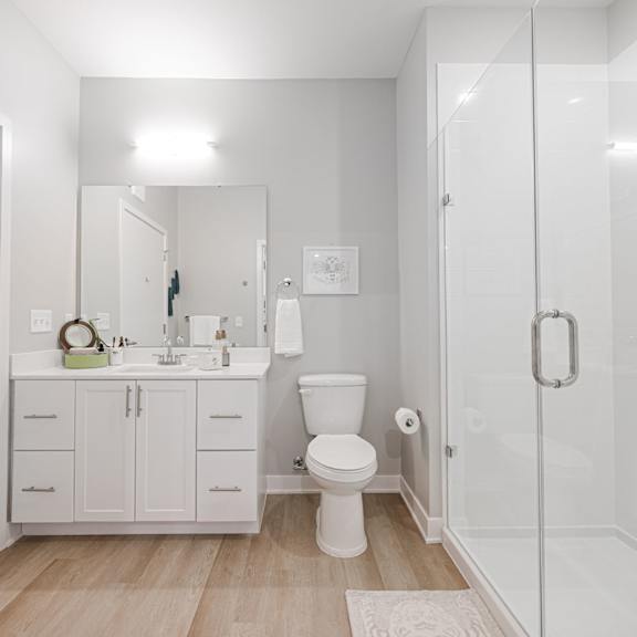 A bathroom with a walk-in shower and a toilet.