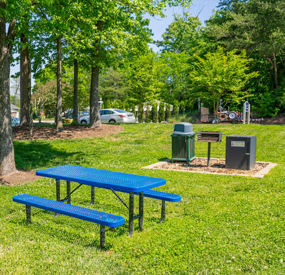 Picnic Spot at West Pointe Apartments, Burlington, North Carolina
