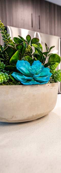 a potted plant sitting on a counter in a kitchen