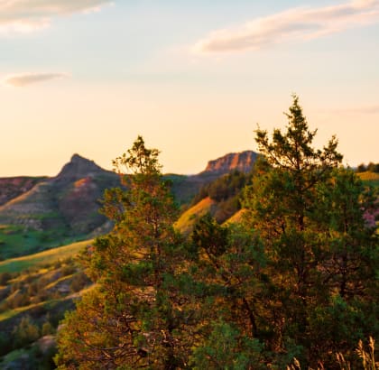 Beautiful Views of Mountains and Trees at National Park in North Dakota