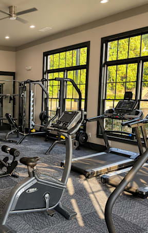 A spacious gym with a variety of equipment including treadmills, weights, and a television.