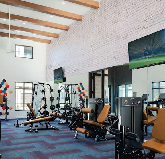 A gym with a variety of equipment including treadmills, weights, and exercise machines.