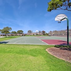 a basketball court in a park with trees at The Vines at Riverpark, LLC, Oxnard