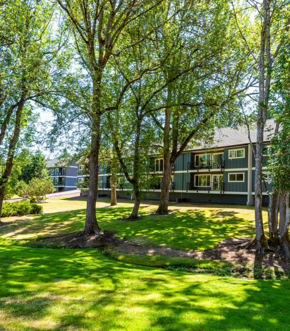A creek lined with Willow trees at Shadow Hills apartments