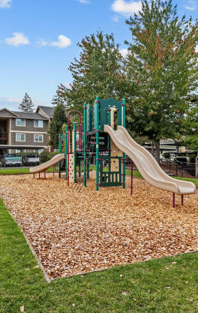 Willamette Apartments playground