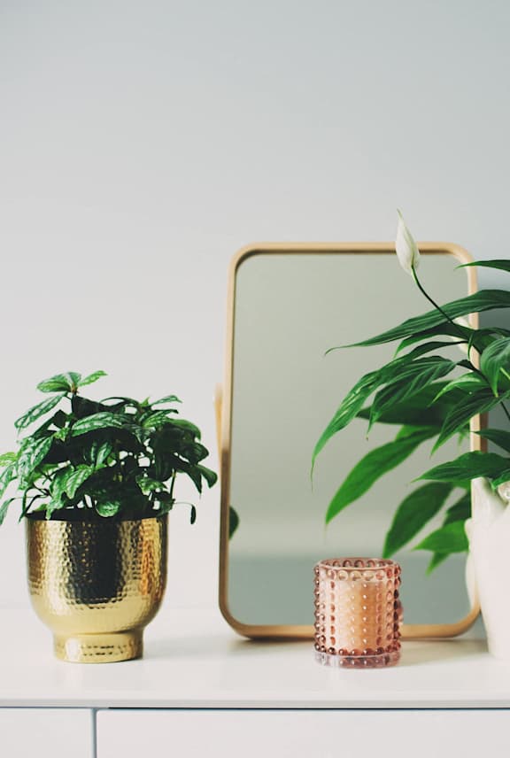 A white table with a mirror, a potted plant, and a watering can.