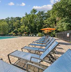 A pool surrounded by trees and sun loungers. at Staples Mill Townhomes Apartments, Virginia
