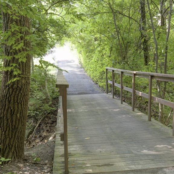 Safe Walking Paths In Courtyard at Silvertree, Westerville, Ohio