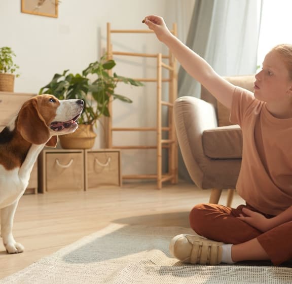 A girl is sitting on the floor and playing with a dog. at River Walk Apartments, Boise, ID, 83702