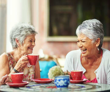 Two Elderly Women Having Tea
