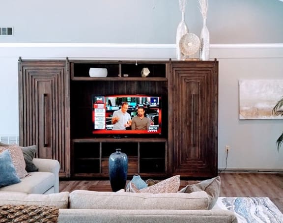 Modern Living Area at Lake in the Woods Apartments in Melbourne, FL