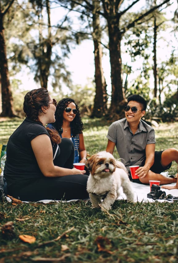 friends having picnic in park at The Duo, University Place, WA