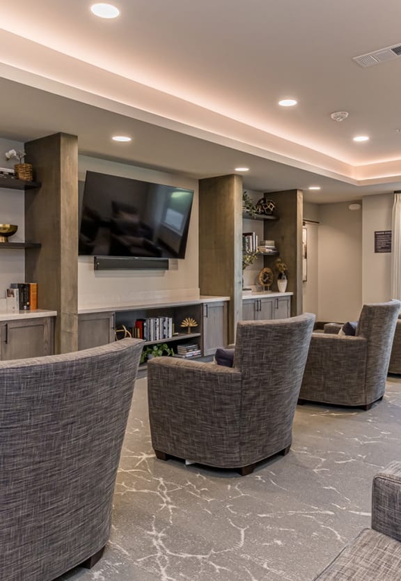 Dominium-Preserve at Peachtree Shoals-Theater Room