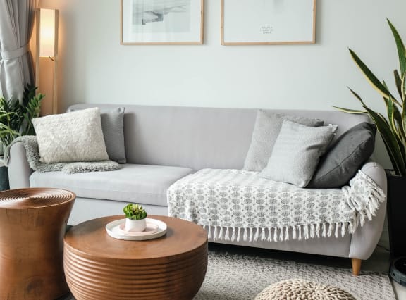 Sofa With Pillows and Coffee Table.