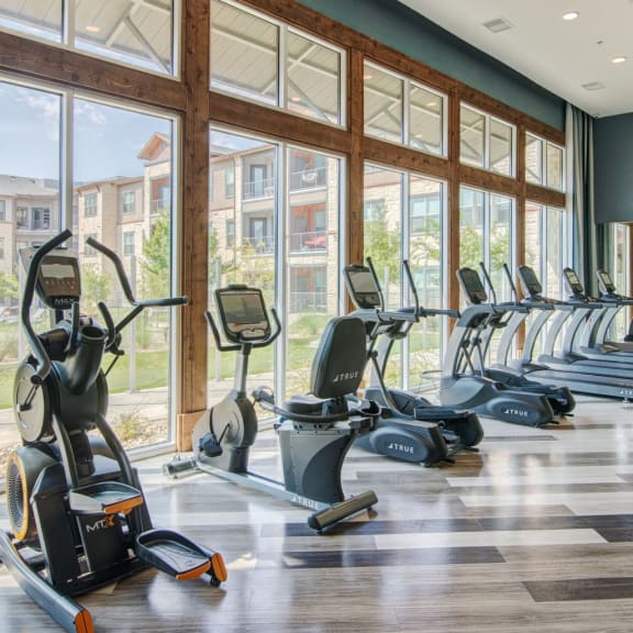 Luxurious Apartments in the Colony, TX Windsor Lakeyard District