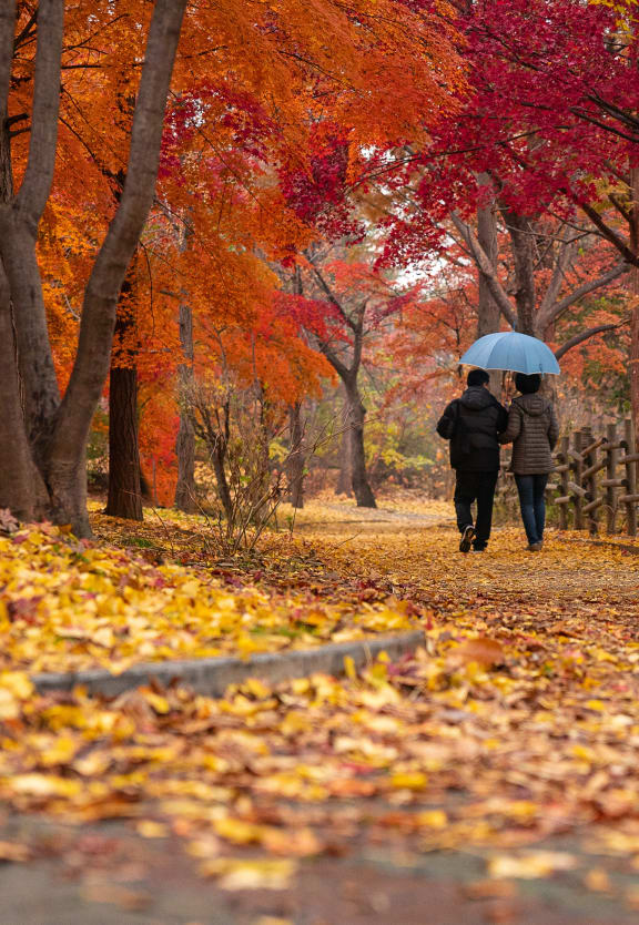active couple walking near reunion at redmond ridge - an active adult community