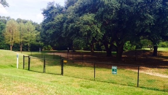 Avalon pet park.