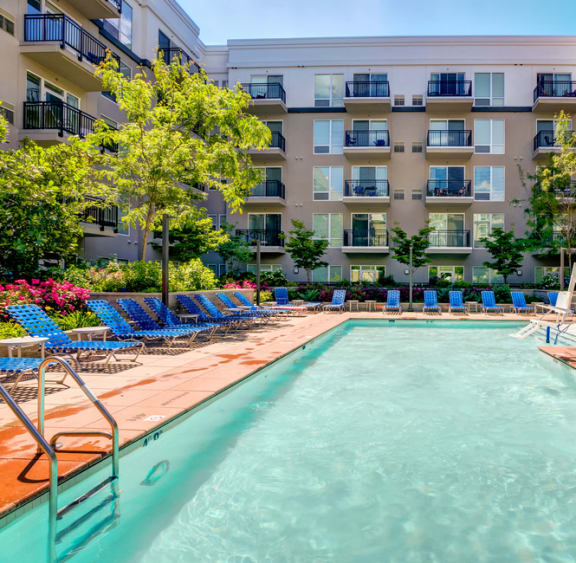 beautifully planted pool plaza